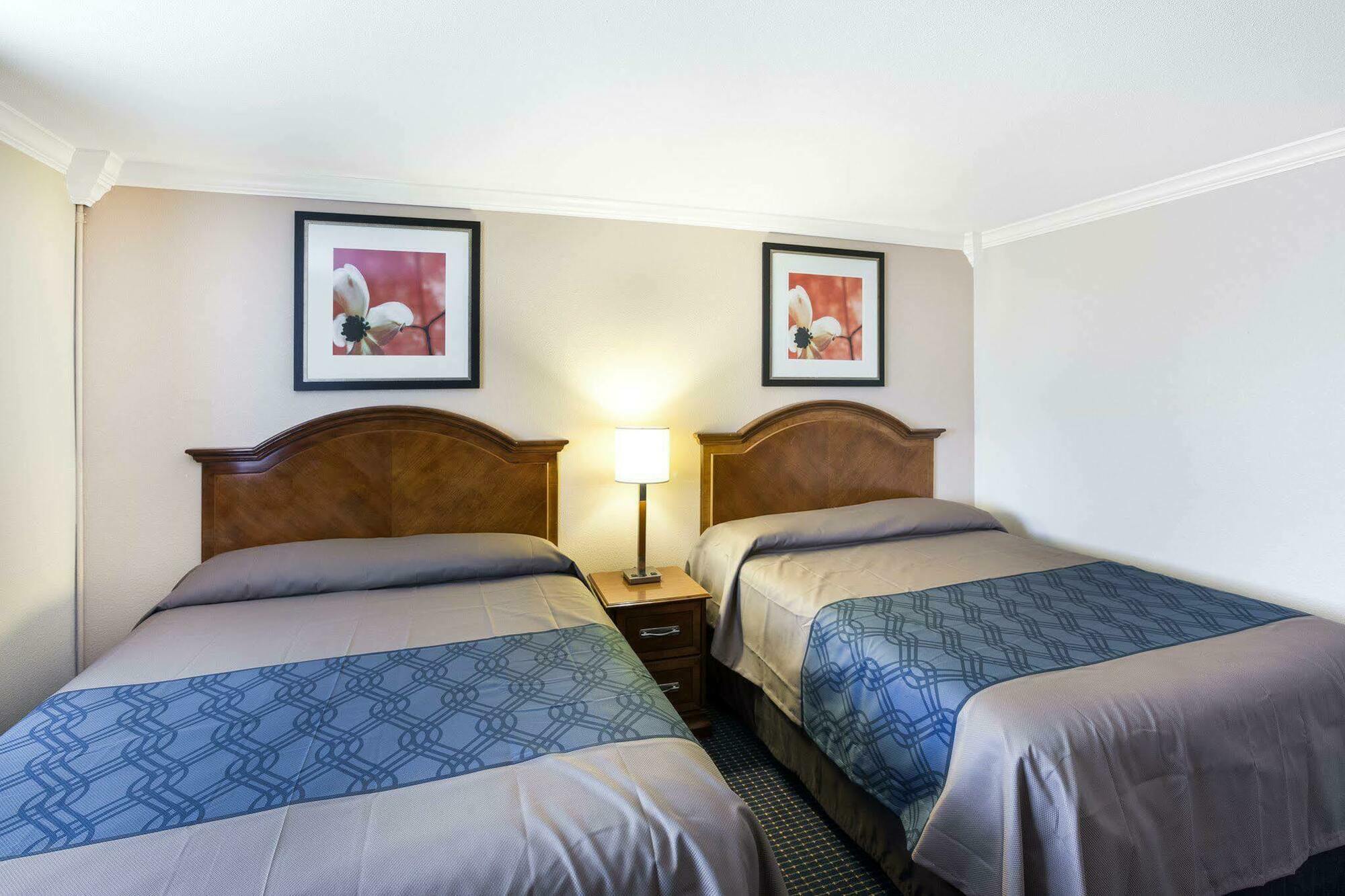University Inn & Suites San Antonio Kültér fotó